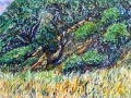 137 - Hillside With Trees