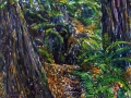 143 - Redwoods at Steep Ravine