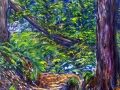 144 - Redwoods & Path