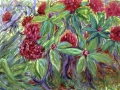 27 - Rhododendrons #2
